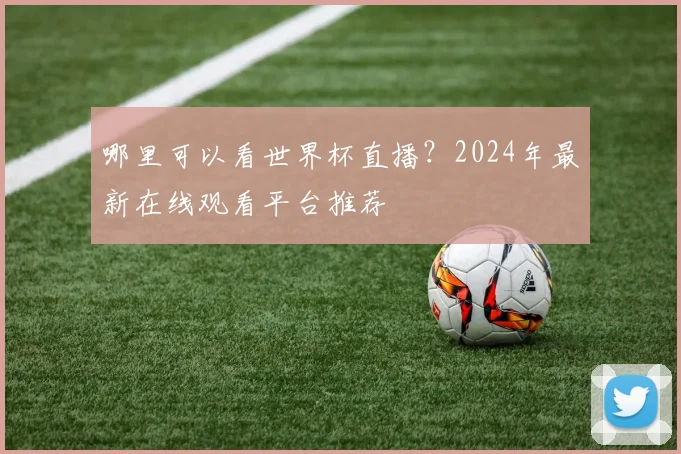 哪里可以看世界杯直播？2024年最新在线观看平台推荐