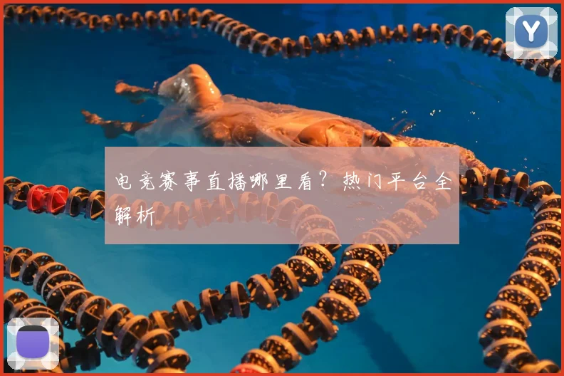 电竞赛事直播哪里看？热门平台全解析